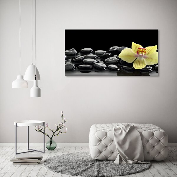 Foto obraz canvas Orchidej oc-53476359