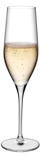 Nude designové sklenice na šampaňské Vinifera