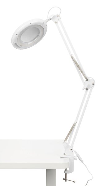 LAMPA NA PSACÍ STŮL, 60/15,8/33 cm Novel - Kancelářské lampy