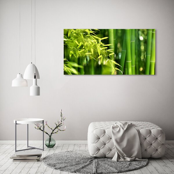 Foto obraz canvas Bambus oc-53968302