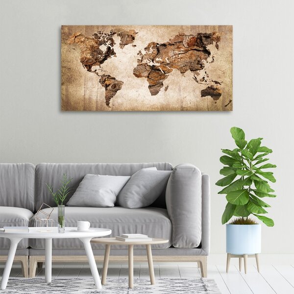 Foto obraz canvas Mapa světa dřevo oc-54299109