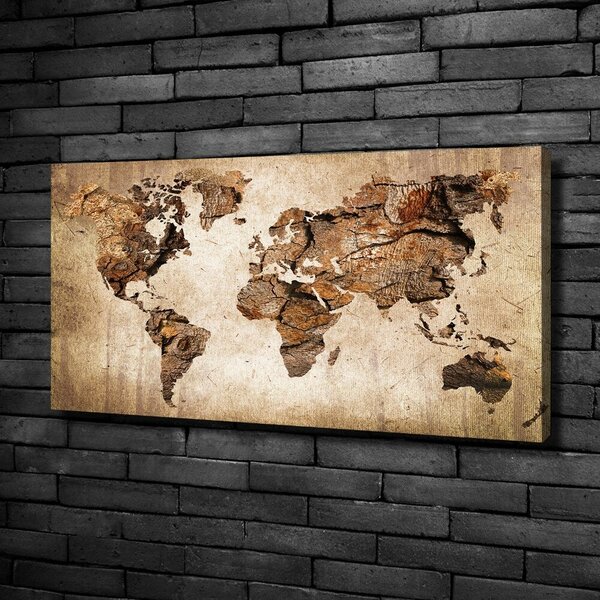 Foto obraz canvas Mapa světa dřevo oc-54299109