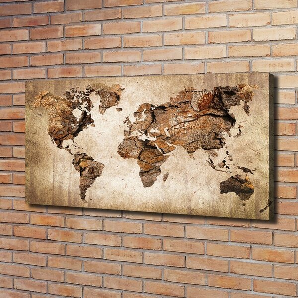 Foto obraz canvas Mapa světa dřevo oc-54299109