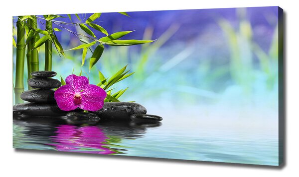 Foto obraz tištěný na plátně Orchidej bambus oc-54557063