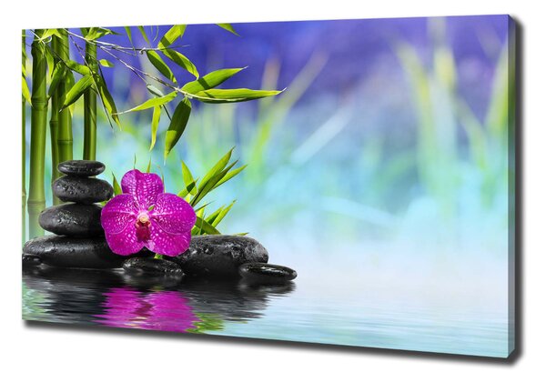 Foto obraz tištěný na plátně Orchidej bambus oc-54557063