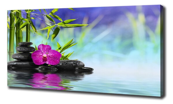 Foto obraz tištěný na plátně Orchidej bambus oc-54557063