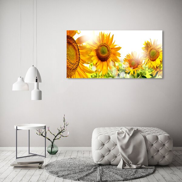 Foto obraz skleněný horizontální Slunečníky osh-55126306