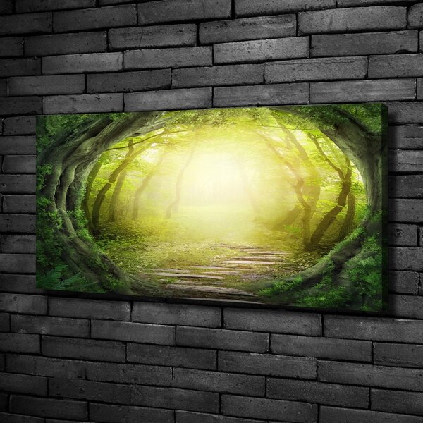 Foto obraz na plátně Tunel ze stromů oc-55464163
