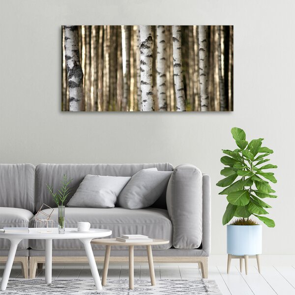 Moderní obraz canvas na rámu Břízy oc-56871841