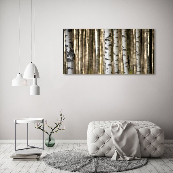 Moderní obraz canvas na rámu Břízy oc-56871841