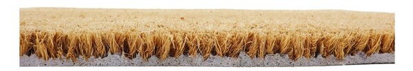 Rohožka z kokosového vlákna 40x60 cm Hello Autumn – Artsy Doormats