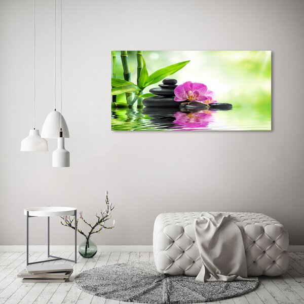 Foto obraz na plátně Orchidej oc-57168498