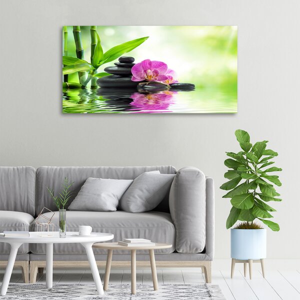 Foto obraz na plátně Orchidej oc-57168498