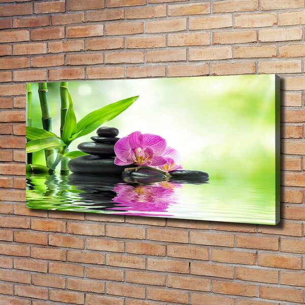 Foto obraz na plátně Orchidej oc-57168498