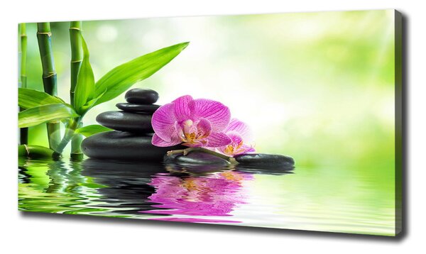 Foto obraz na plátně Orchidej oc-57168498