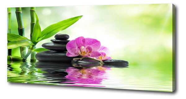 Foto obraz na plátně Orchidej oc-57168498