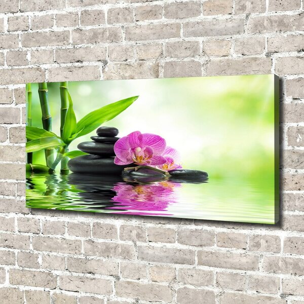 Foto obraz na plátně Orchidej oc-57168498