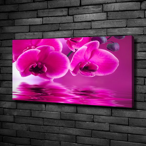 Foto obraz na plátně Orchidej oc-58002130