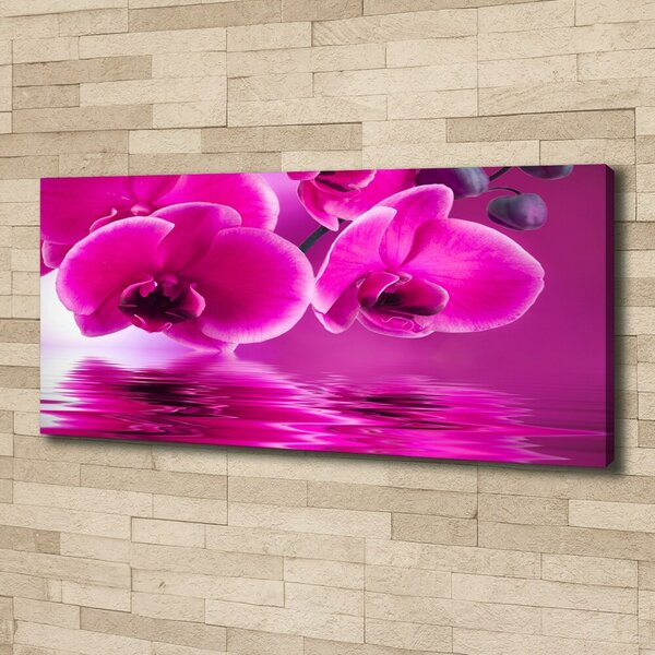 Foto obraz na plátně Orchidej oc-58002130