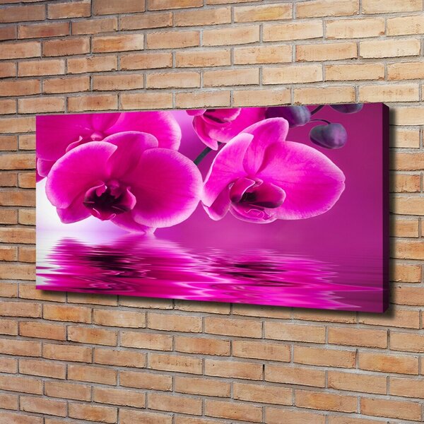 Foto obraz na plátně Orchidej oc-58002130