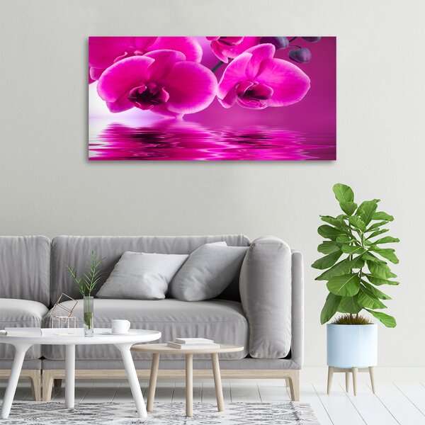 Foto obraz na plátně Orchidej oc-58002130