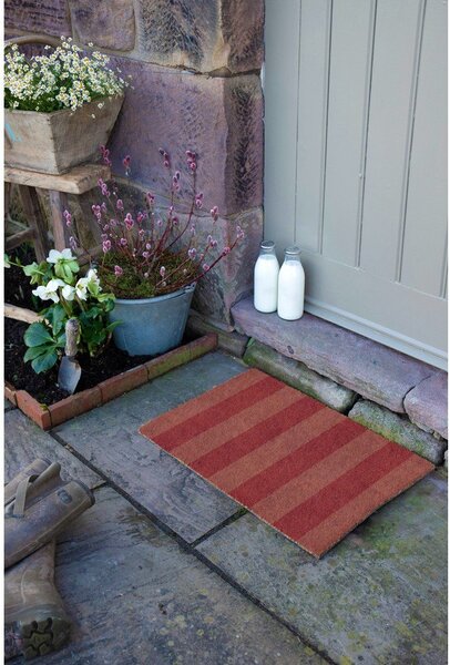 Rohožka z kokosového vlákna 40x60 cm Pink Stripe – Artsy Doormats