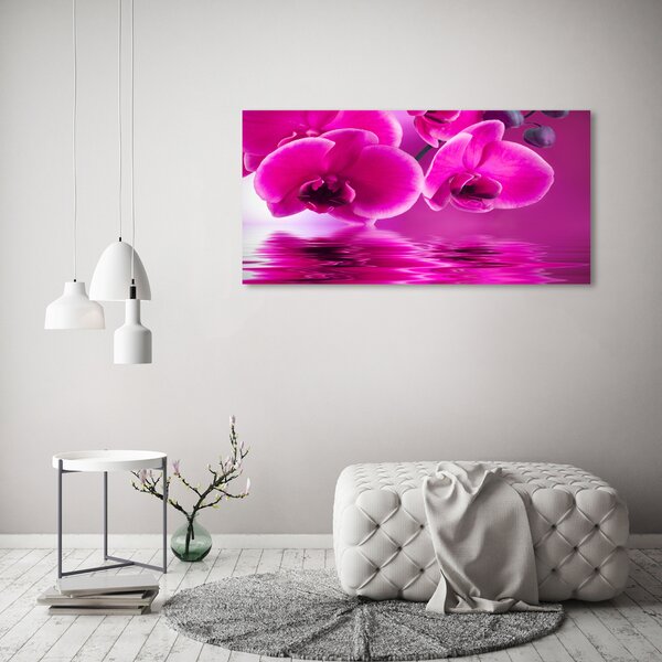 Foto obraz na plátně Orchidej oc-58002130