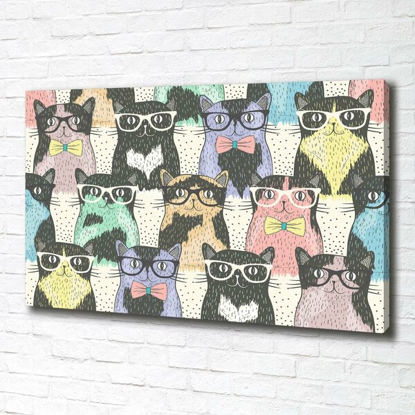 Foto obraz na plátně Kočky v brýlích oc-58024892
