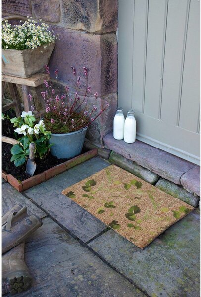 Rohožka z kokosového vlákna 40x60 cm Watercolour Leaves – Artsy Doormats