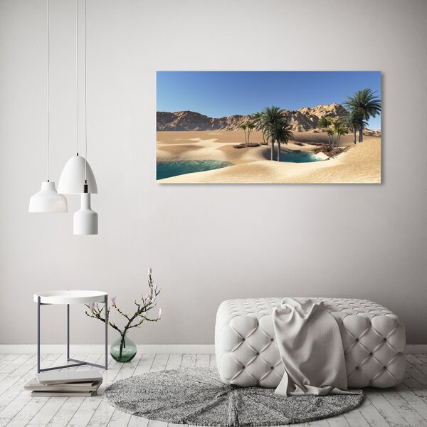Moderní fotoobraz canvas na rámu Oáza oc-58101782