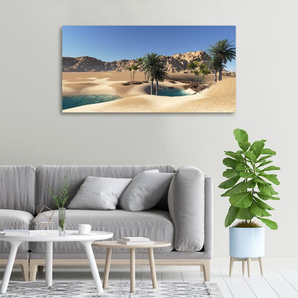 Moderní fotoobraz canvas na rámu Oáza oc-58101782