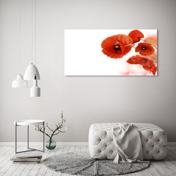 Foto obraz canvas Máky oc-58416422