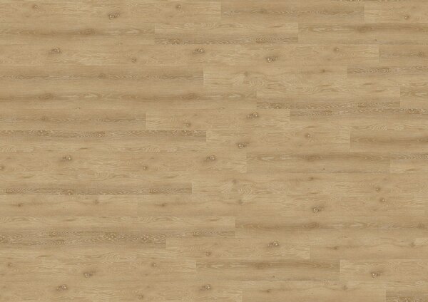 WINEO 800 wood L Trondheim oak brown DB817WL - 3.46 m2
