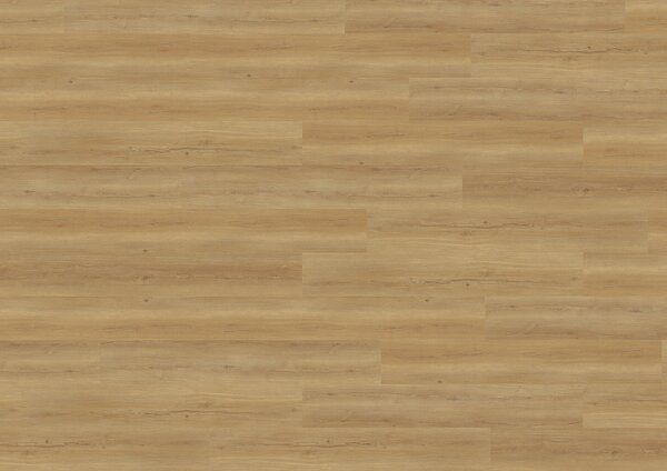 WINEO 800 wood XL Bradford oak honey DB835WXL - 4.24 m2