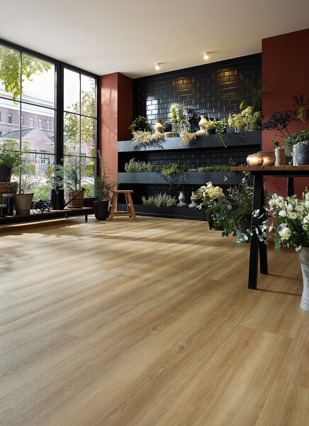 WINEO 800 wood XL Bradford oak honey DB835WXL - 4.24 m2