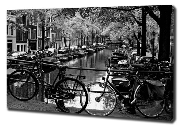 Foto obraz na plátně Kola Amsterdam oc-5974045