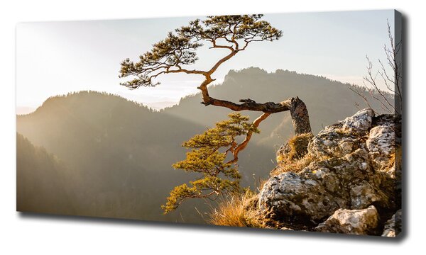 Foto obraz na plátně Sokolice Pieniny oc-59943899