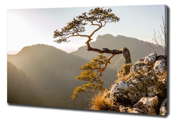 Foto obraz na plátně Sokolice Pieniny oc-59943899