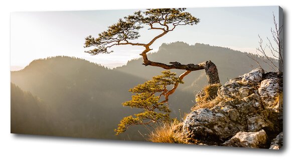 Foto obraz na plátně Sokolice Pieniny oc-59943899