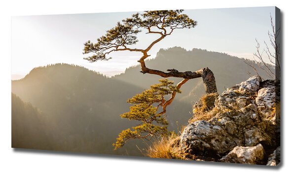 Foto obraz na plátně Sokolice Pieniny oc-59943899
