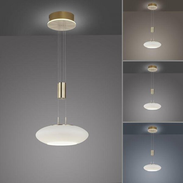 Paul Neuhaus Závěsné LED svítidlo Q-ETIENNE 38,5W, ø 35 cm, CCT 2700-5000K Barva: Mosaz