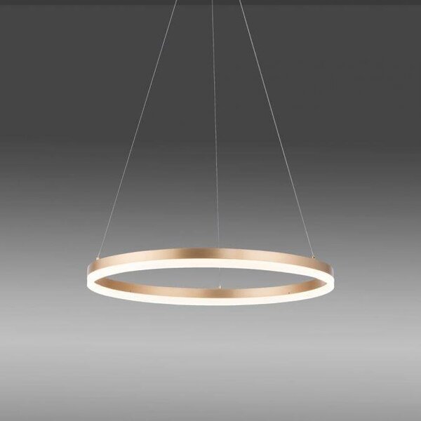 Paul Neuhaus Závěsné LED svítidlo TITUS, 44W, ø 60 cm, 3000K stmívatelné Barva: Bílá