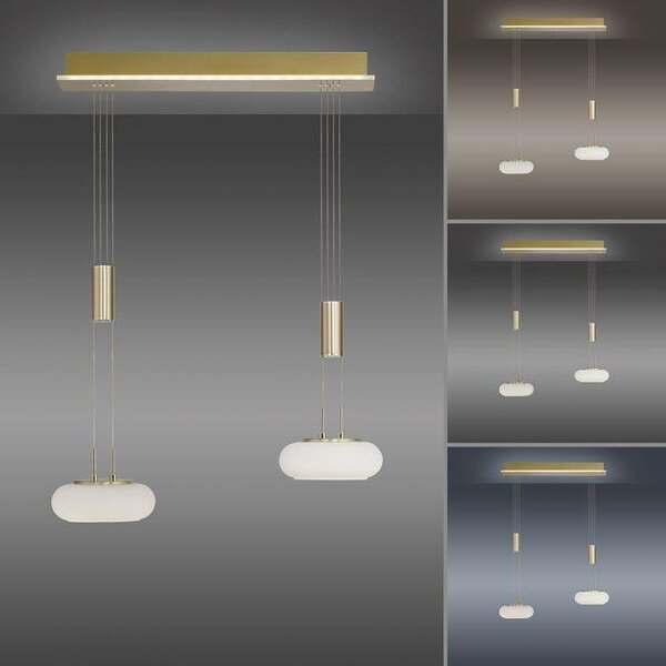 Paul Neuhaus Závěsné LED svítidlo Q-ETIENNE 25,5W, d. 65 cm, CCT 2700-5000K Barva: Mosaz