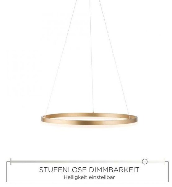Paul Neuhaus Závěsné LED svítidlo TITUS, 44W, ø 60 cm, 3000K stmívatelné Barva: Bílá