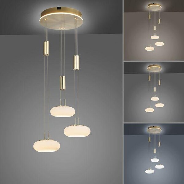 Paul Neuhaus Závěsné LED svítidlo Q-ETIENNE, 35W, ø 44 cm, CCT 2700-5000K Barva: ocel