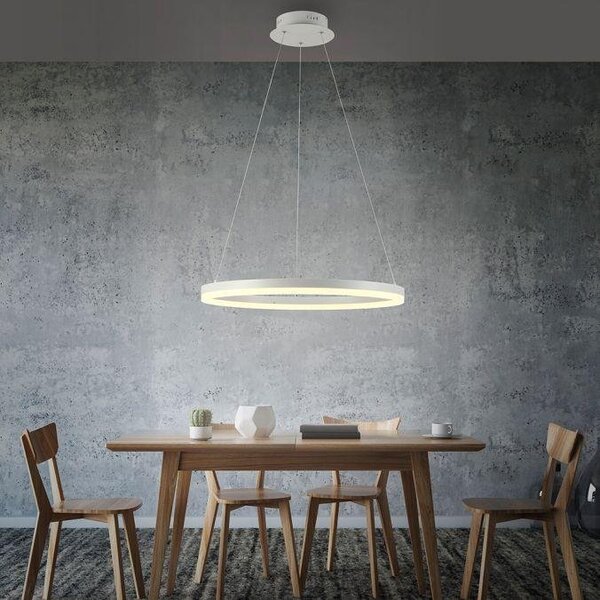 Paul Neuhaus Závěsné LED svítidlo TITUS, 44W, ø 60 cm, 3000K stmívatelné Barva: Bílá