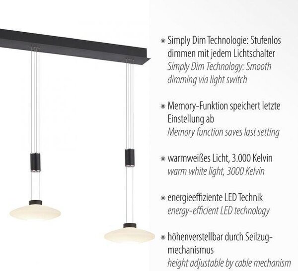 Paul Neuhaus Závěsné LED svítidlo LAUTADA, 26W, d. 116 cm, 3000K stmívatelné Barva: Stříbrná