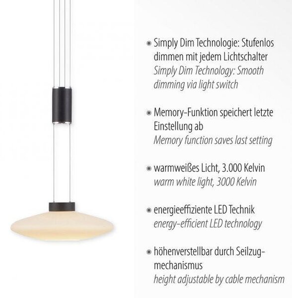Paul Neuhaus Závěsné LED svítidlo LAUTADA 9,5W