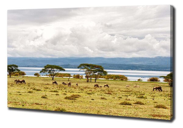 Foto obraz na plátně Jezero Naivasha oc-60219348