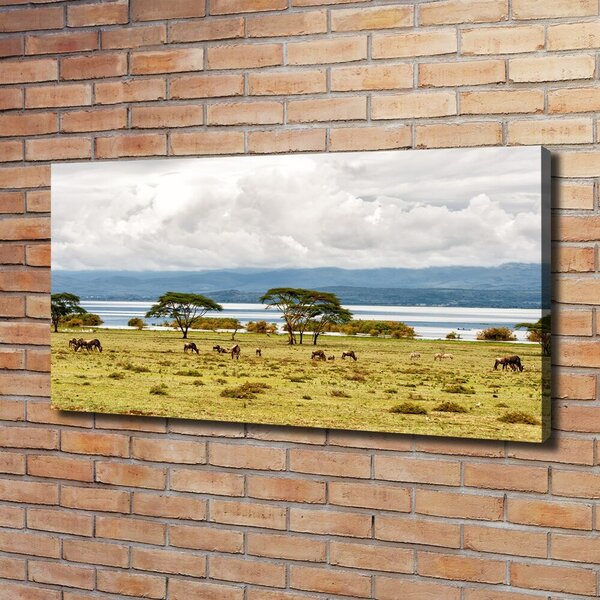 Foto obraz na plátně Jezero Naivasha oc-60219348
